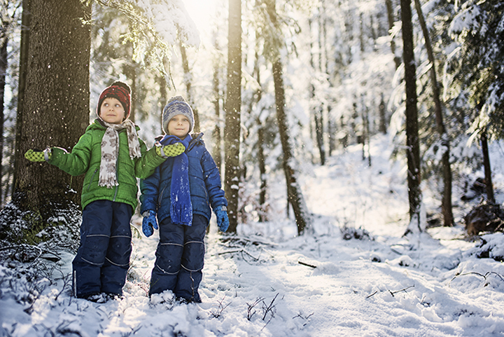 Little boys in winter forest