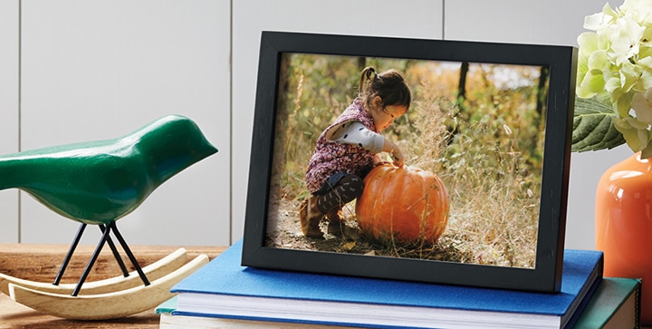 10 Tips for Taking Better Pumpkin Patch Photos