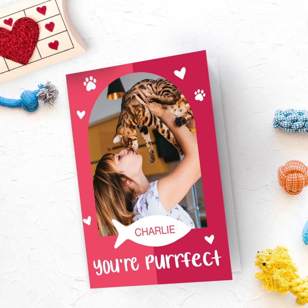 A fun 'You are purrfect' card with a photo of a lovely girl kissing her pet cat