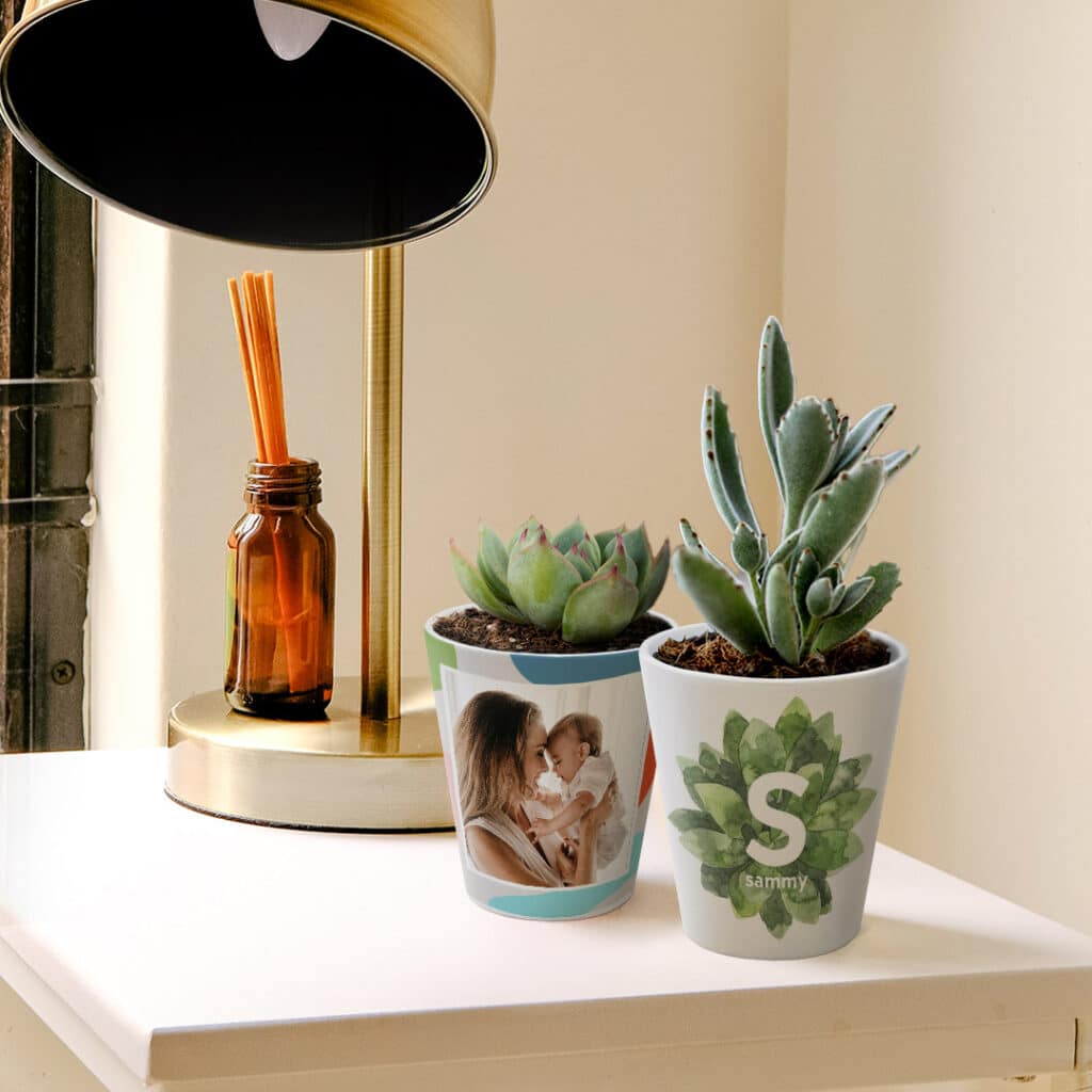 Plant pots on a desk