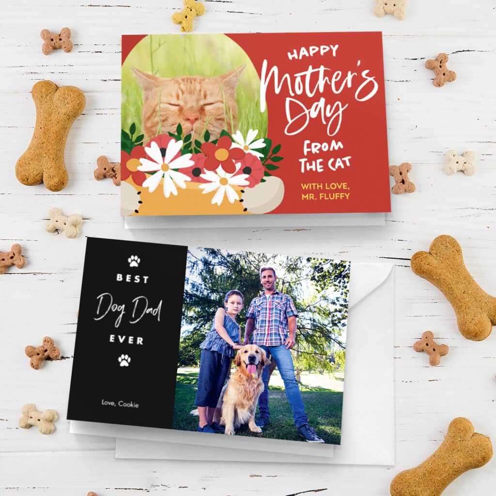 Greeting cards with pet themes with pet treats scattered around